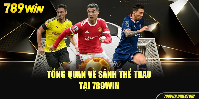 Một vài thông tin về sảnh thể thao 789Win