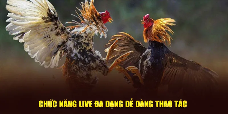 Chức năng live đa dạng dễ dàng thao tác